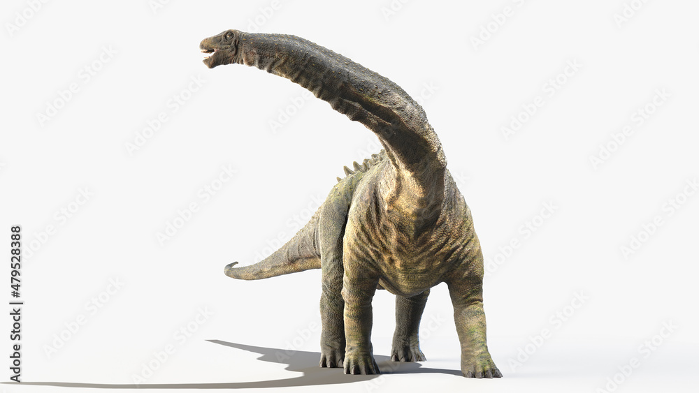 Fototapeta premium 3d rendered illustration of an Apatosaurus