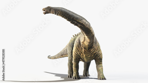 3d rendered illustration of an Apatosaurus © Sebastian Kaulitzki