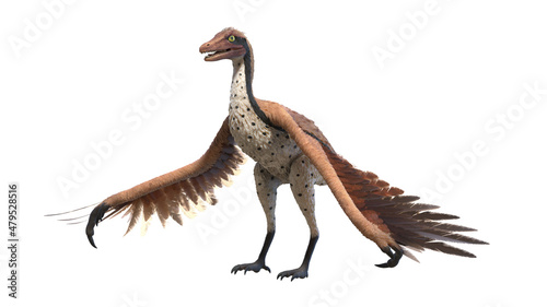 3d rendered illustration of an Archaeopteryx