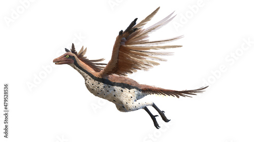 3d rendered illustration of an Archaeopteryx