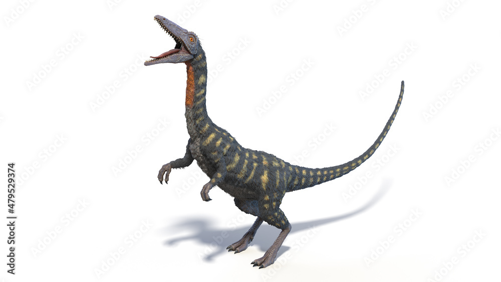Fototapeta premium 3d rendered illustration of a Coelophysis