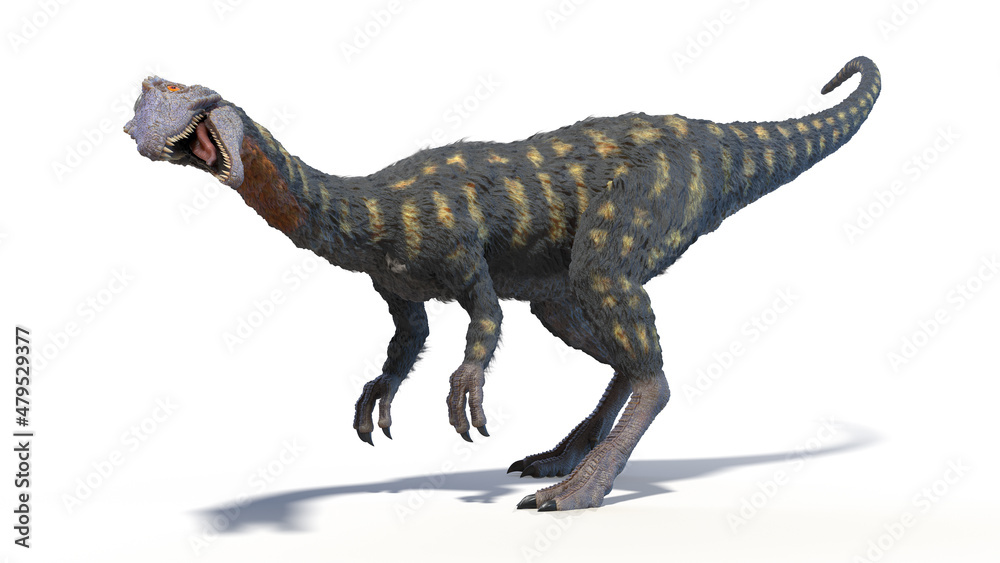 Fototapeta premium 3d rendered illustration of a Coelophysis