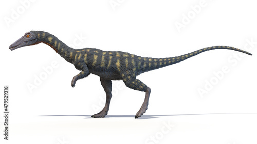 3d rendered illustration of a Coelophysis