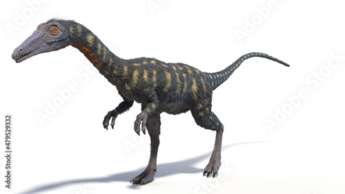 3d rendered illustration of a Coelophysis