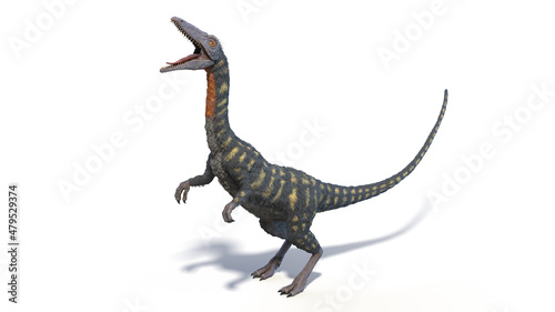 3d rendered illustration of a Coelophysis photo
