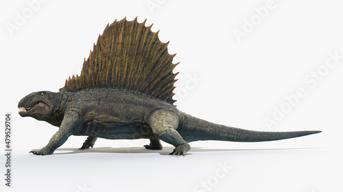 3d rendered illustration of a Dimetrodon photo