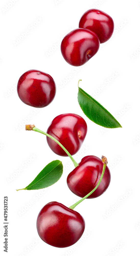 © Tim UR - Cherry isolated. Falling sour cherries with leaves on white background. Flying cherry.