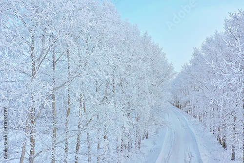 trees frost drone, abstract view background december landscape outdoor trees snow © kichigin19