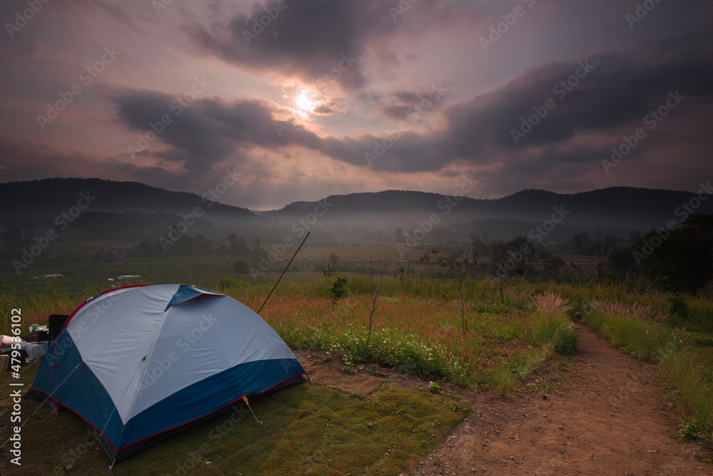 Tent in a colorful grass field with foggy hill and sunrise in background
