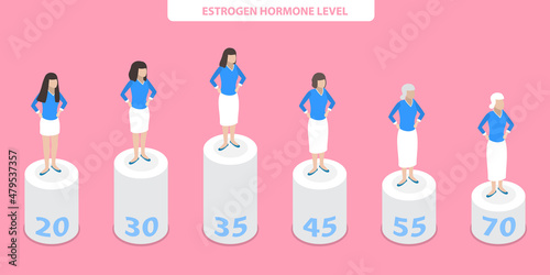 3D Isometric Flat Vector Conceptual Illustration of Estrogen Hormone Level, Female Natural Biological Life Chart