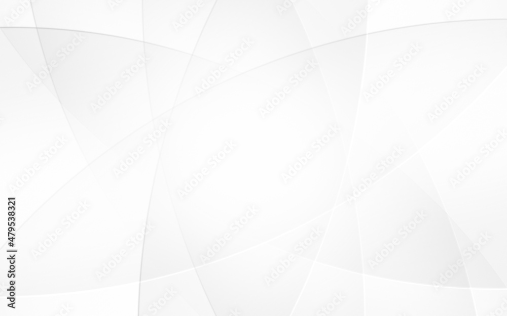 Obraz premium Abstract geometric white and gray curve line gradient Background. with space for concept design Technology and modern.