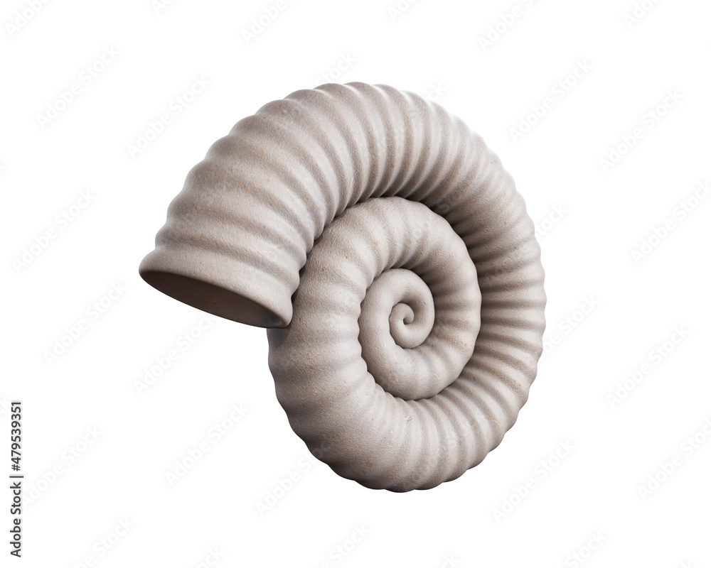 Sea shell isolated on white background. 3d rendering Sea shell isolated on white background. 3d rendering