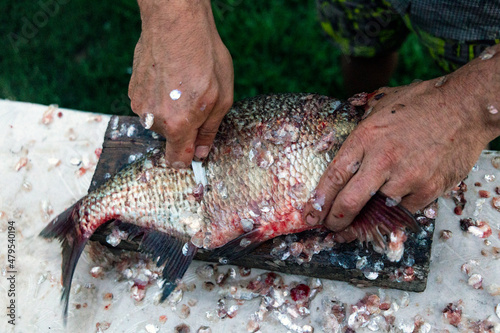 A man cleans freshwater fish scales with a big knife. Fisherman's prey