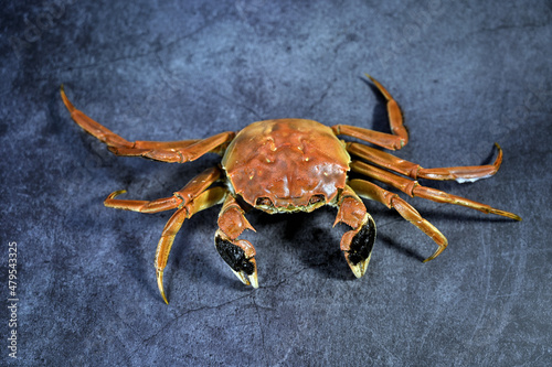 Yangcheng Lake hairy crab at Chinese restaurant