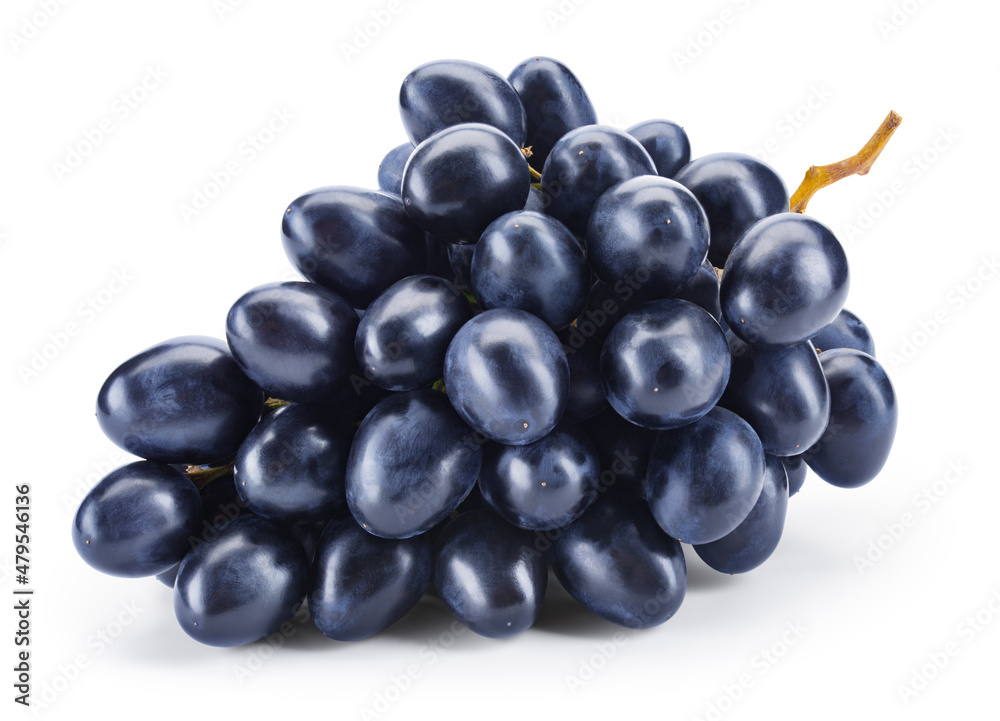 Bunch of dark blue grapes isolated on white. Fresh black grape. With clipping path. Full depth of field. Bunch of dark blue grapes isolated on white. Fresh black grape. With clipping path. Full depth of field.