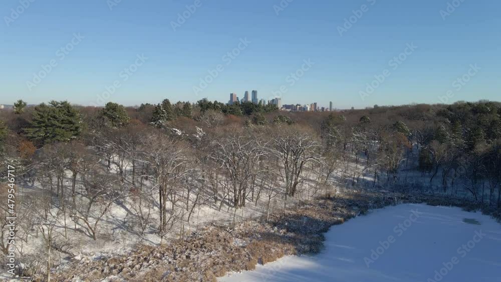 aerial View of trees with downtown minneapolis at the distance aerial View of trees with downtown minneapolis at the distance