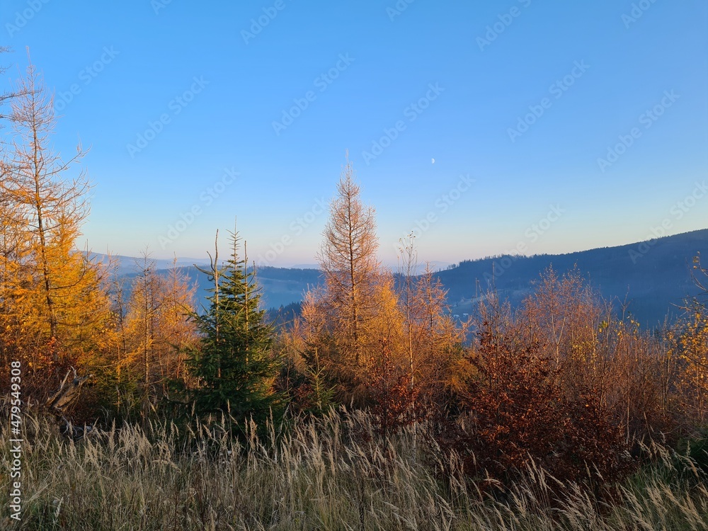 Beskid Śląski jesienią