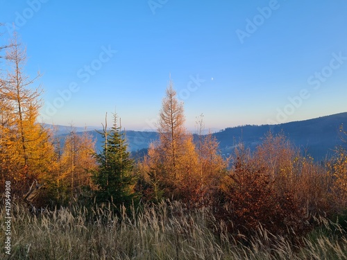 Beskid Śląski jesienią