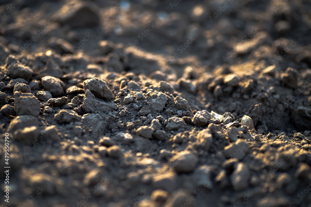 Black earth with sunlit ground mounds. ground before planting seeds and growing vegetables or soybeans. Black earth with sunlit ground mounds. ground before planting seeds and growing vegetables or soybeans.