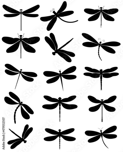 dragonfly black silhouette, set, isolated, vector