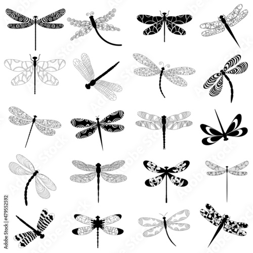 dragonfly black silhouette, set, isolated