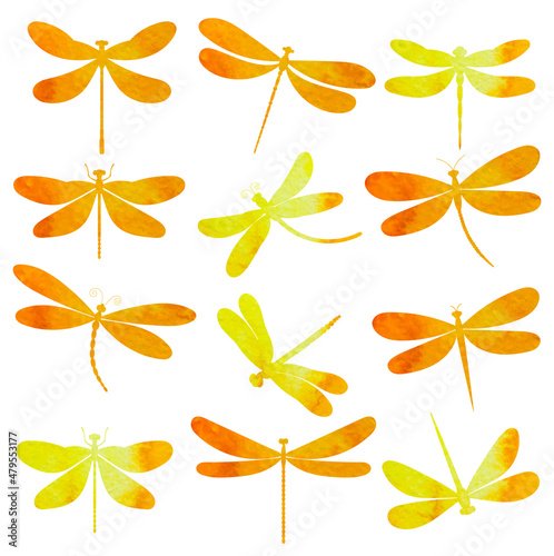 dragonfly set watercolor silhouette  set  isolated  vector