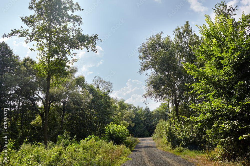 A gravel road at rural Europe. Suburban road path A gravel road at rural Europe. Suburban road path