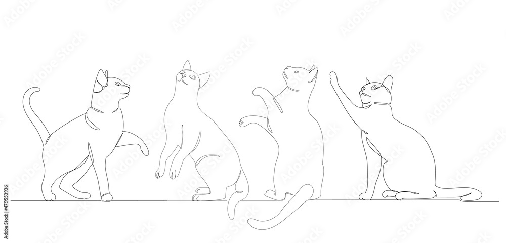 cats drawing by one continuous line, isolated, vector cats drawing by one continuous line, isolated, vector