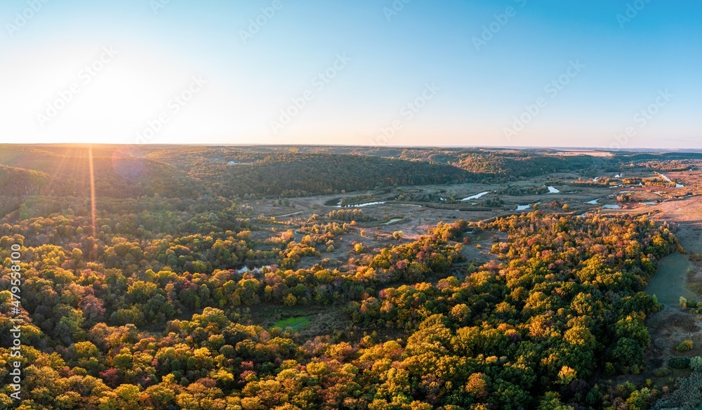 River branches running among forestry landscape in autumn