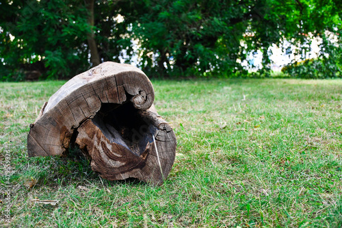 Hollow Wood Log on Green Grass in the middle of a Park