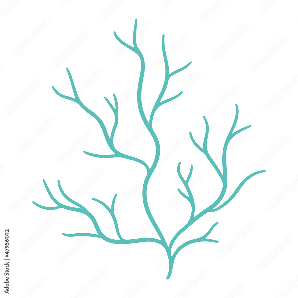 Vector image of seaweed, logo symbol. Element of underwater flora and fauna, hand-drawn. Vector image of seaweed, logo symbol. Element of underwater flora and fauna, hand-drawn.