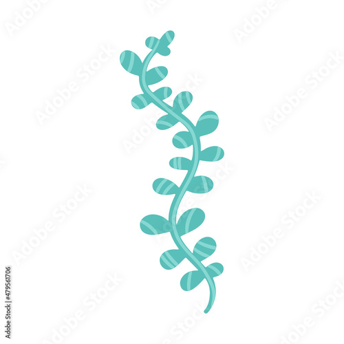 Vector image of seaweed, logo symbol. Element of underwater flora and fauna, hand-drawn.