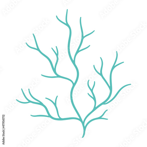 Vector image of seaweed, logo symbol. Element of underwater flora and fauna, hand-drawn.