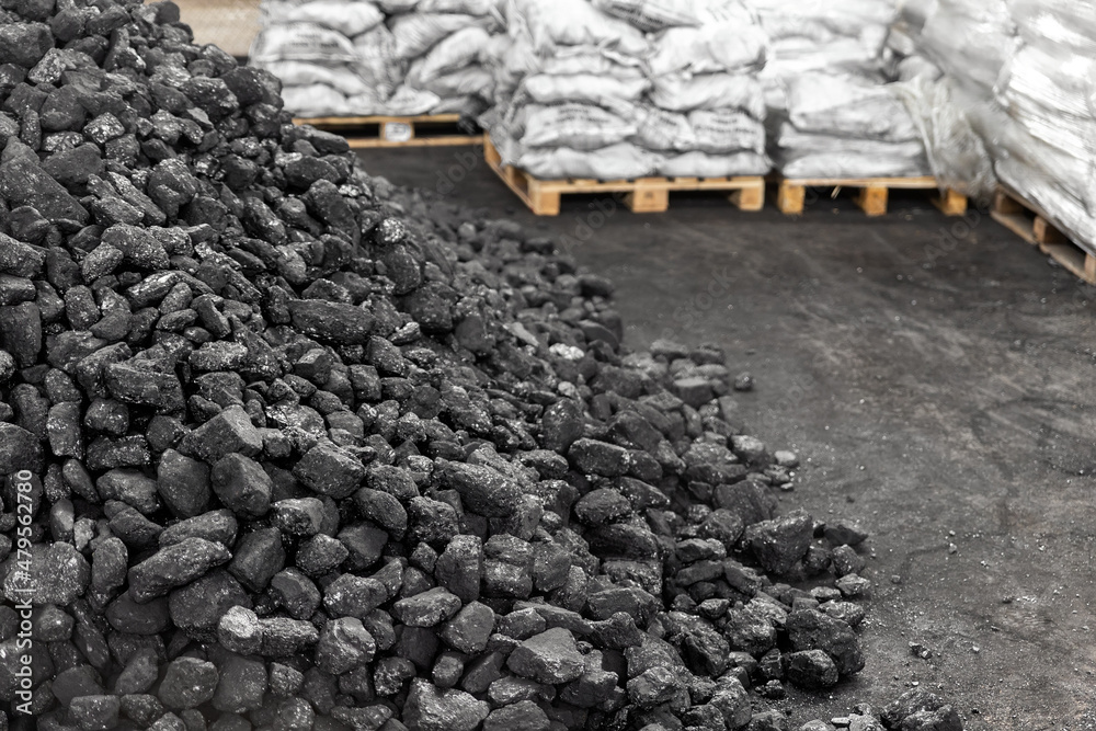 Big heap of dark black lump coal on floor bulk. Charcoal sorage at warehouse stock reserve. activated anthracite packed in plastic bag sack on wooden pallet. Industrial and mining industry background - obrazy, fototapety, plakaty 