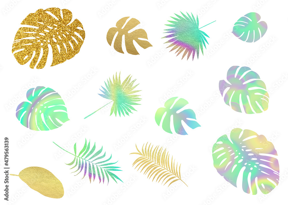 Modern colorful tropic leaves silhouettes. Clip art set on white background