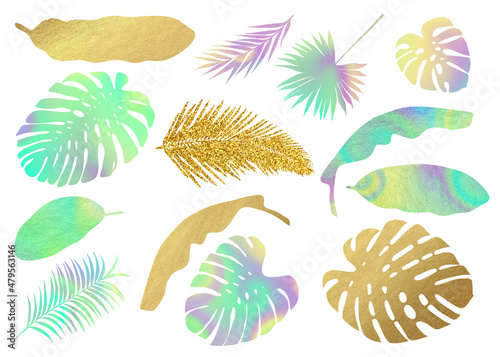 Modern colorful tropic leaves silhouettes. Clip art on white background