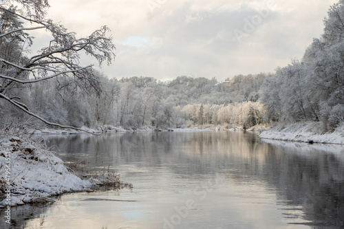 Cold winter day in December at the river Gauja with frost in trees in Sigulda in Latvia