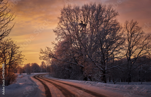 rural landscape tree cloudy morning sunset cold winter with snow and road and trees