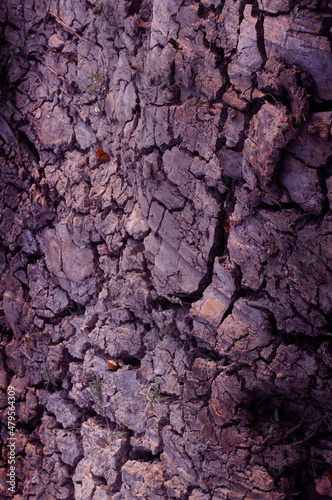 wall stone wall cement wall brown
