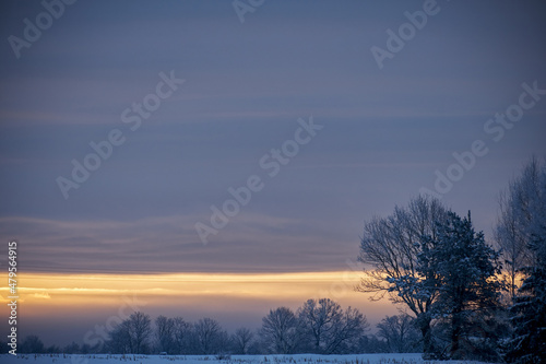 Fototapeta Naklejka Na Ścianę i Meble -  rural landscape tree cloudy morning sunset cold winter with snow