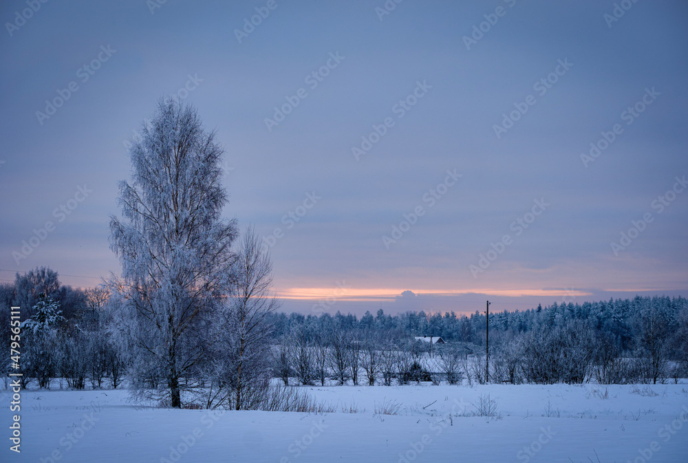 rural landscape tree cloudy morning sunset cold winter with snow rural landscape tree cloudy morning sunset cold winter with snow