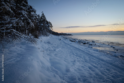 deep snow over rocks at the beach in cold winter sunset by the sea with pine trees and spruce