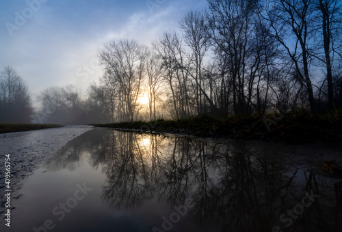 Bare trees near Tübingen Germany on a foggy winter morning reflected in a puddle on a wet dirtway in rural agricultural landscape. Morning scenery with sunrise after rainy night colorful sky gradient