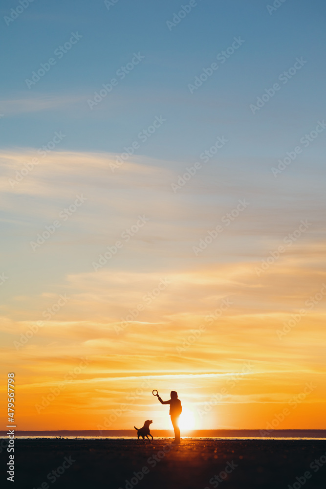the silhouette of a man against the background of a sunset on a lake or sea. a woman or a man on the background of the setting sun walks and plays with his dog in nature, the friendship of man and dog