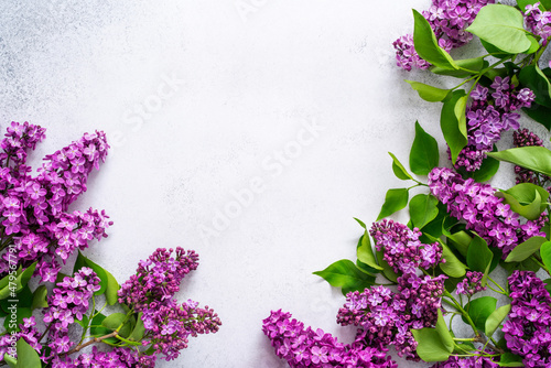 Bright fresh purple lilac branches with green leaves on textured grey background. Lovely spring flowers composition. Seasonal blossom mockup. Natural floral template. Flat lay, copy space, top view.