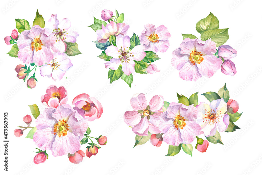 spring flowers illustration.watercolor