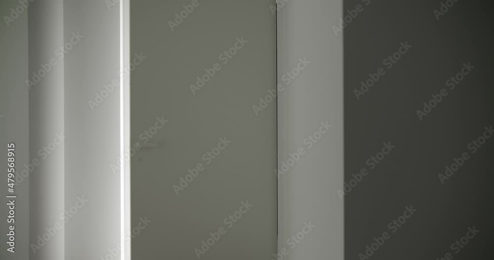The minimalist white door closes in a modern home, design room. creativity exit The minimalist white door closes in a modern home, design room. creativity exit