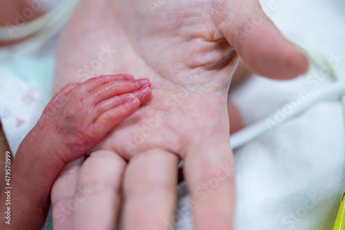 Premature baby hand.Man hand holding infant new born photo