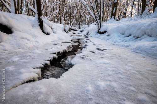 frozen small brook stream in winter covered with ice and snow © Martins