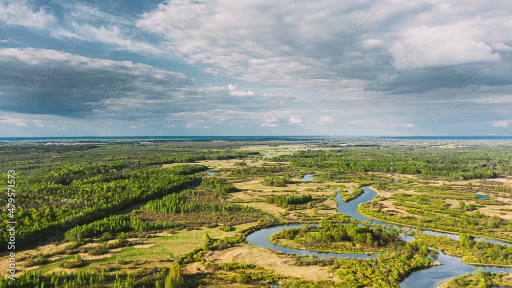 Aerial View Forest Woods And River Marsh In Early Summer Landscape. Top View Of Beautiful European Nature From High Attitude In Summer Season. Drone View, . Bird's Eye View. 4K.